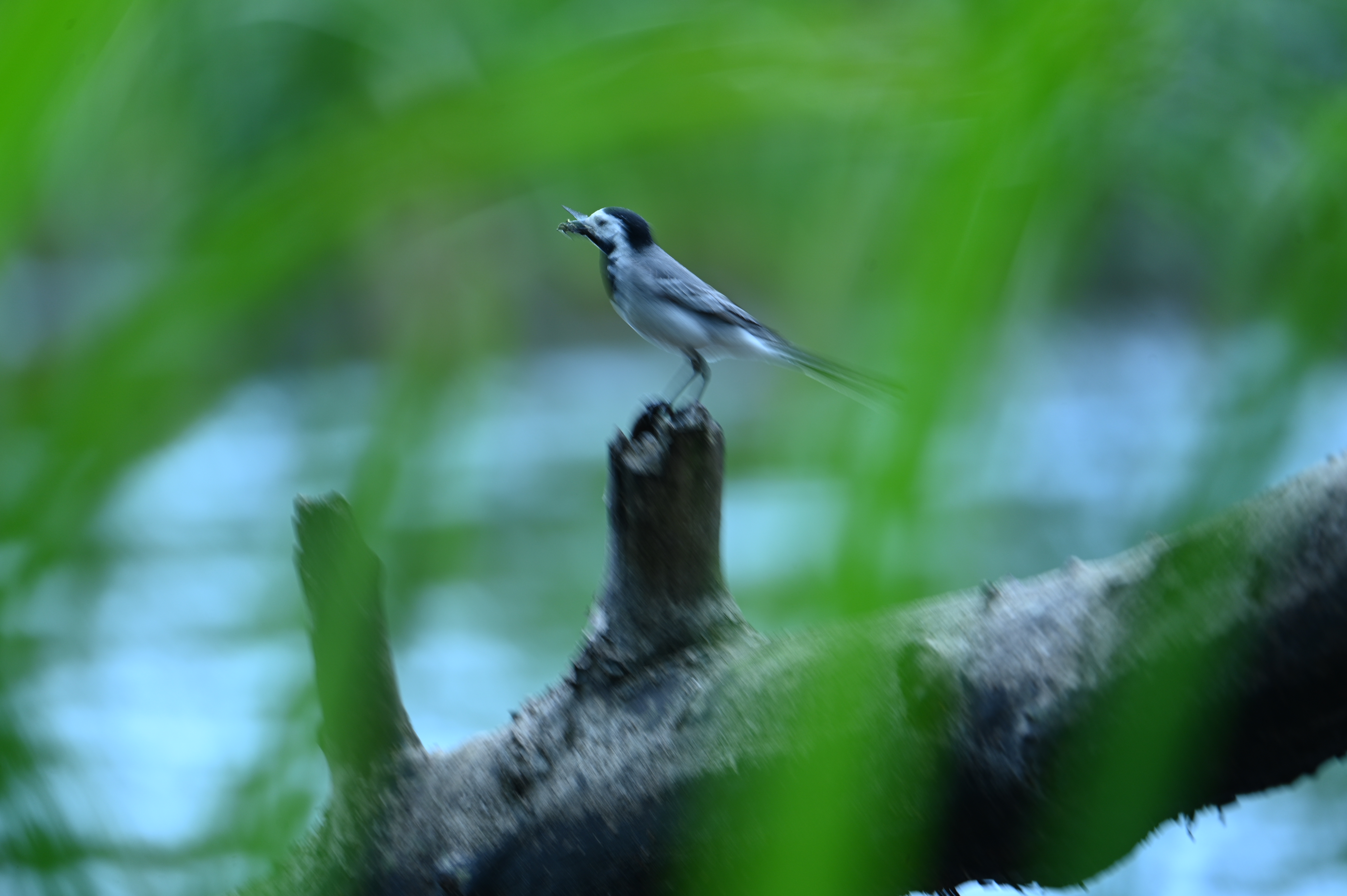 2025/07/09-14 - trip/DSC_0434.JPG